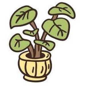 Partes de las plantas