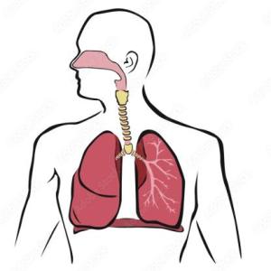 SISTEMA RESPIRATORIO