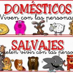 Imagen de portada del videojuego educativo: Animales domesticos y salvajes. , de la temática Biología