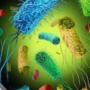 Microbiología