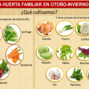 CALENDARIO DE SIEMBRA