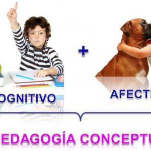 Perfiles del estudiante Pedagogía Conceptual