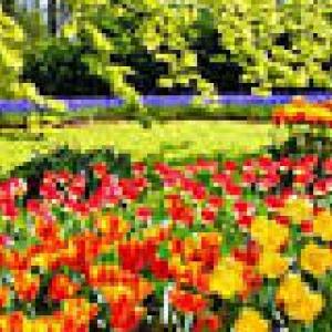 PRIMAVERA!!