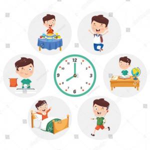 Daily Routine