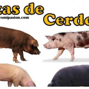 CONTROLAR MONTAJE DE UNIDAD PRODUCTIVA