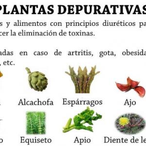 PLANTAS DEPURATIVAS