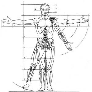 partes del cuerpo 