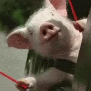 Cuento ¡Mi día de suerte!