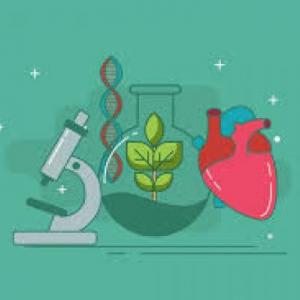 Trivia: medioambiente y salud.