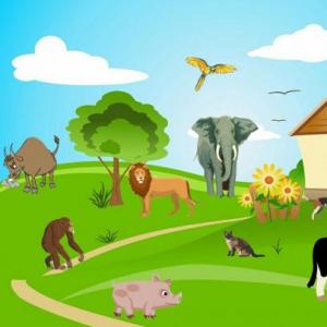 The Animals and their habits