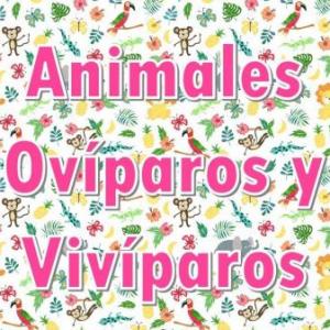 Animales ovíparos y vivíparos