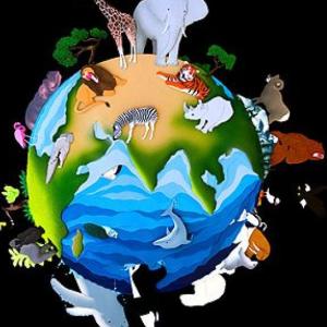Animales