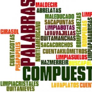 Procesos formativos de las palabras