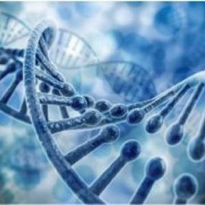 Genetica microbiana y aplicaciones