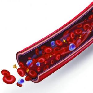 tejido sanguíneo y hematopoyesis