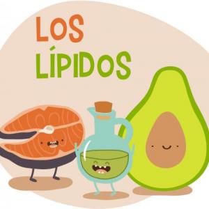 Imagen de portada del videojuego educativo: METABOLISMO LIPIDOS Y GRASAS, de la temática Ciencias