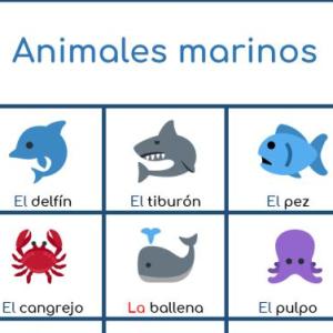 Animales marinos