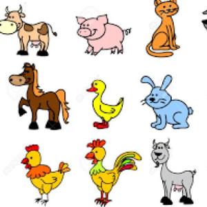 Memoria de Animales Domesticos