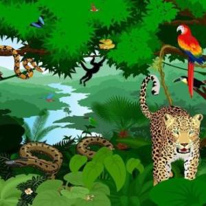 DESCUBRIENDO LOS ANIMALES