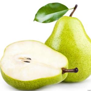 Portada del juego Aprendo a leer con las frutas – Lengua