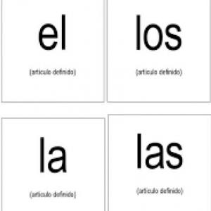 LOS ARTICULOS 