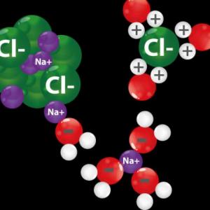 BIOMOLECULAS INORGÁNICAS