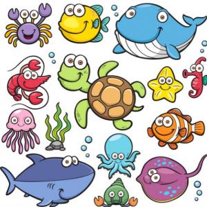 Clasifica los animales marinos