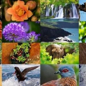 BIODIVERSIDAD
