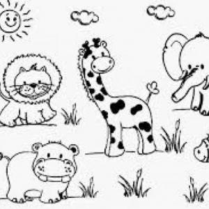 ANIMALANDIA 1