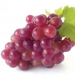 Memorama de frutas
