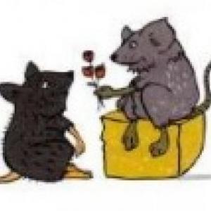 Imagen de portada del videojuego educativo: Rita la ratita amorosa, de la temática Literatura