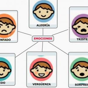 Emociones
