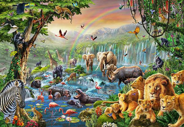 WILD ANIMALS!