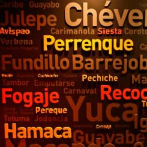 Portada del juego Popular words of Colombia – Idiomas