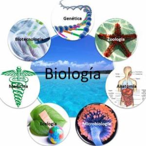 BIOLOGIA