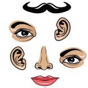 PARTES DEL ROSTRO