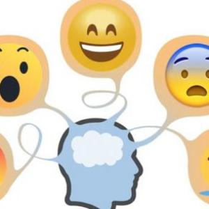LAS EMOCIONES