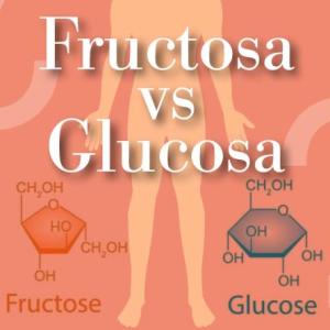 Glucosa y Fructuosa (Leidy Herrera)