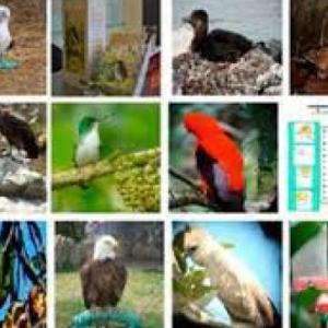BIODIVERSIDAD DEL ECUADOR