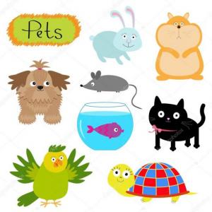 My pets