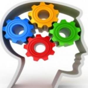TALLER SEMANAL TRIVIA
