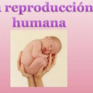 Reproducción Humana