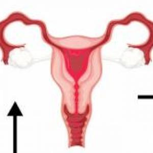 ciclo menstrual 