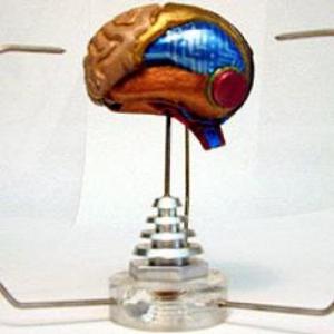 El robot y sus sistemas