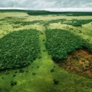 Imagen de portada del videojuego educativo: El impacto de la sociedad y la naturaleza en el ambiente, de la temática Geografía