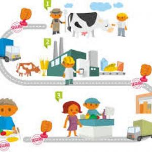 Imagen de portada del videojuego educativo: Cadenas agroindustriales ¿En cuál eslabón se ubica?, de la temática Geografía