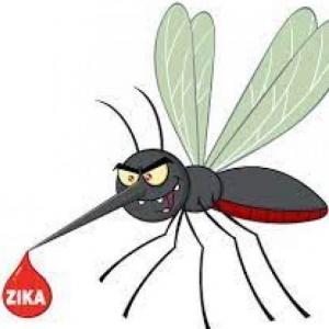 ENFERMEDAD DE DENGUE