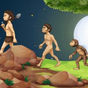 EL SER HUMANO Y EL TIEMPO HISTÓRICO.