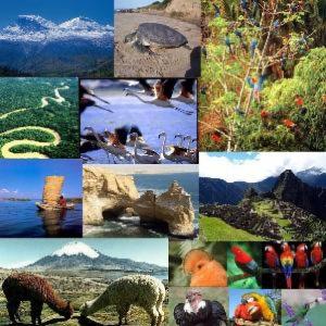 CATEGORÍAS DE RECURSOS NATURALES DE CHILE, SEGÚN USO DE LOS SERES HUMANOS.