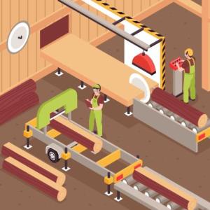 Imagen de portada del videojuego educativo: Proceso de obtención madera natural, de la temática Tecnología